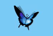 音乐播放器 Tunia 汉化版 | Tuniac（221229）-Puresys纯净系统-软件下载
