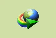 Internet Download Manager v6.42.64中文特别版(IDM)-Puresys纯净系统-软件下载