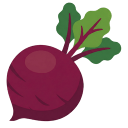 剪贴板管理器 Beetroot v1.6.6 中文版-Puresys纯净系统-软件下载
